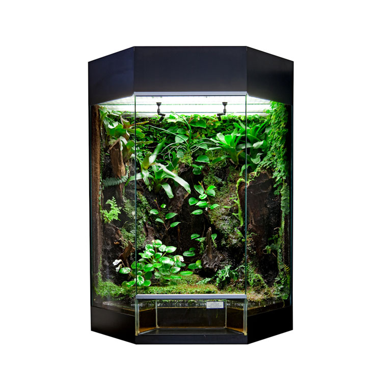 RANA Panorama-Showterrarium Rainforest 60x45x80cm schwarz galerij