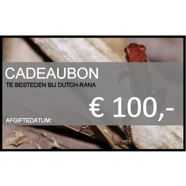 Gutschein von 100 euro