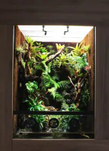 Paludarium-Klein-600x827