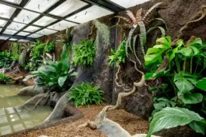 gaiazoo-11