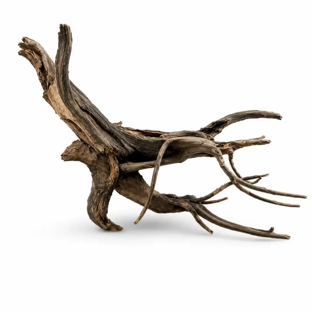 Spiderwood black